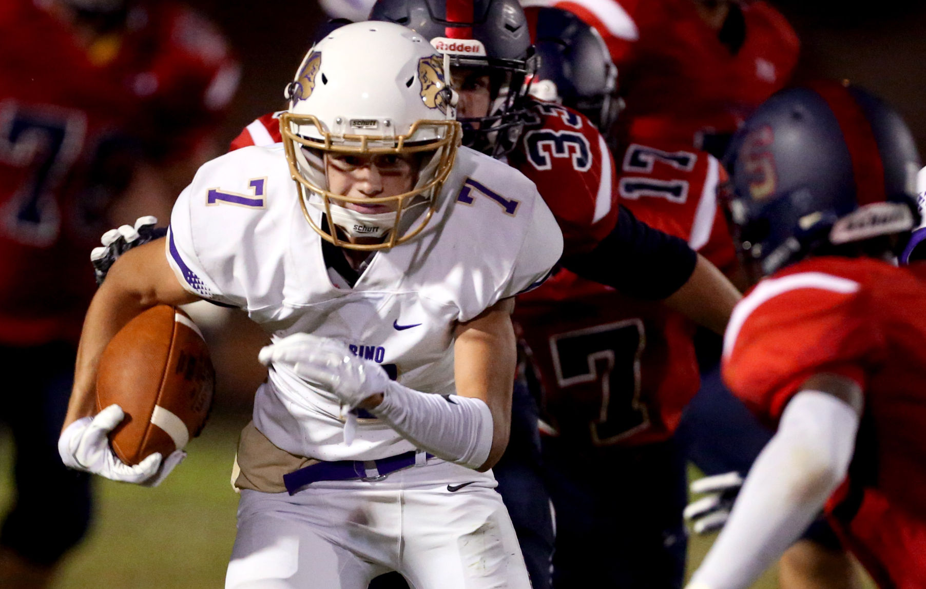 Sabino vs Sahuaro